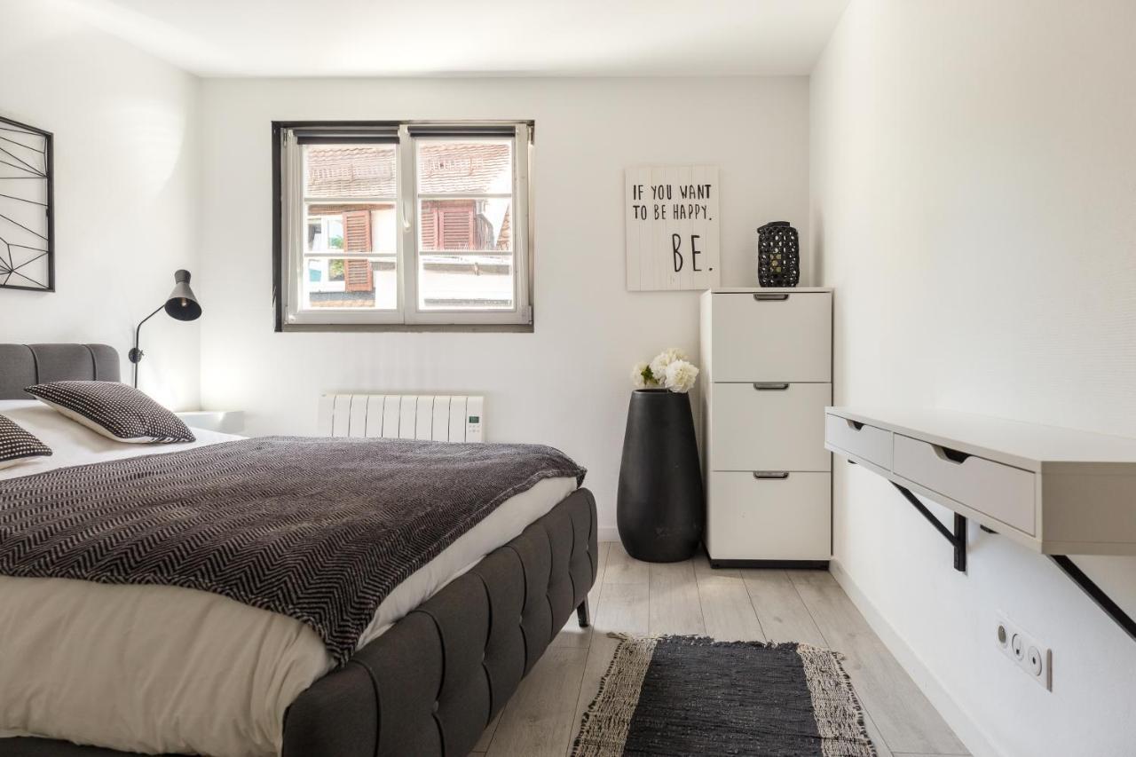 Appartements De La Pleiade ستراسبورغ الغرفة الصورة